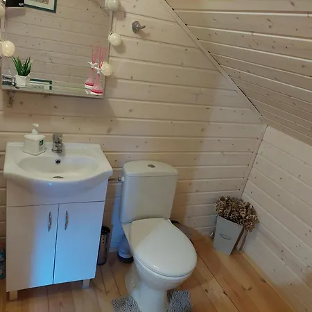 Bursztynowo Z Basenem Ferienhaus *